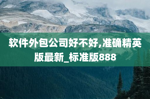 软件外包公司好不好,准确精英版最新_标准版888