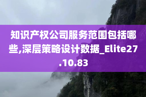 知识产权公司服务范围包括哪些,深层策略设计数据_Elite27.10.83