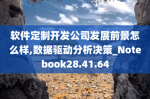 软件定制开发公司发展前景怎么样,数据驱动分析决策_Notebook28.41.64