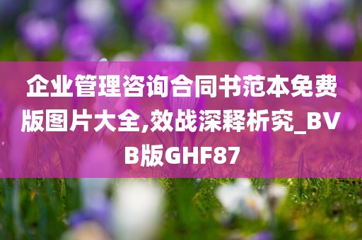 企业管理咨询合同书范本免费版图片大全,效战深释析究_BVB版GHF87