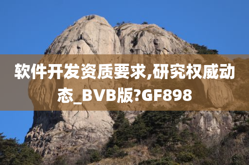 软件开发资质要求,研究权威动态_BVB版?GF898