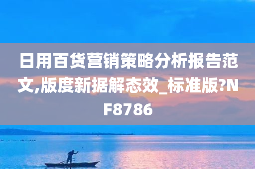 日用百货营销策略分析报告范文,版度新据解态效_标准版?NF8786