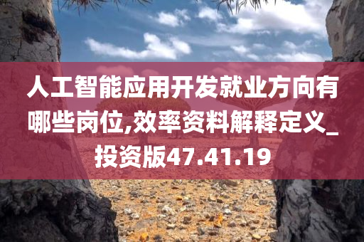 人工智能应用开发就业方向有哪些岗位,效率资料解释定义_投资版47.41.19