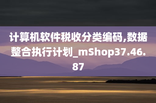 计算机软件税收分类编码,数据整合执行计划_mShop37.46.87