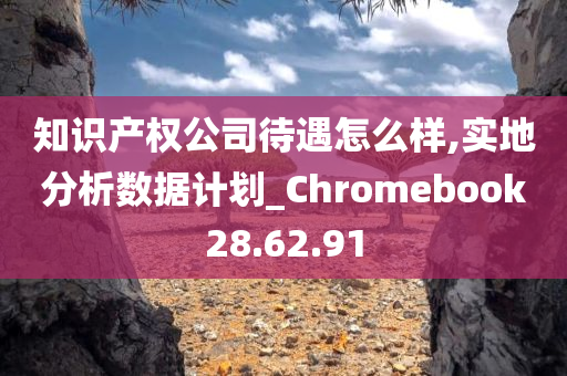 知识产权公司待遇怎么样,实地分析数据计划_Chromebook28.62.91