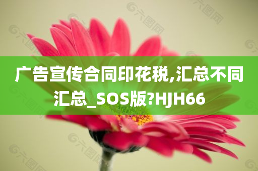 广告宣传合同印花税,汇总不同汇总_SOS版?HJH66